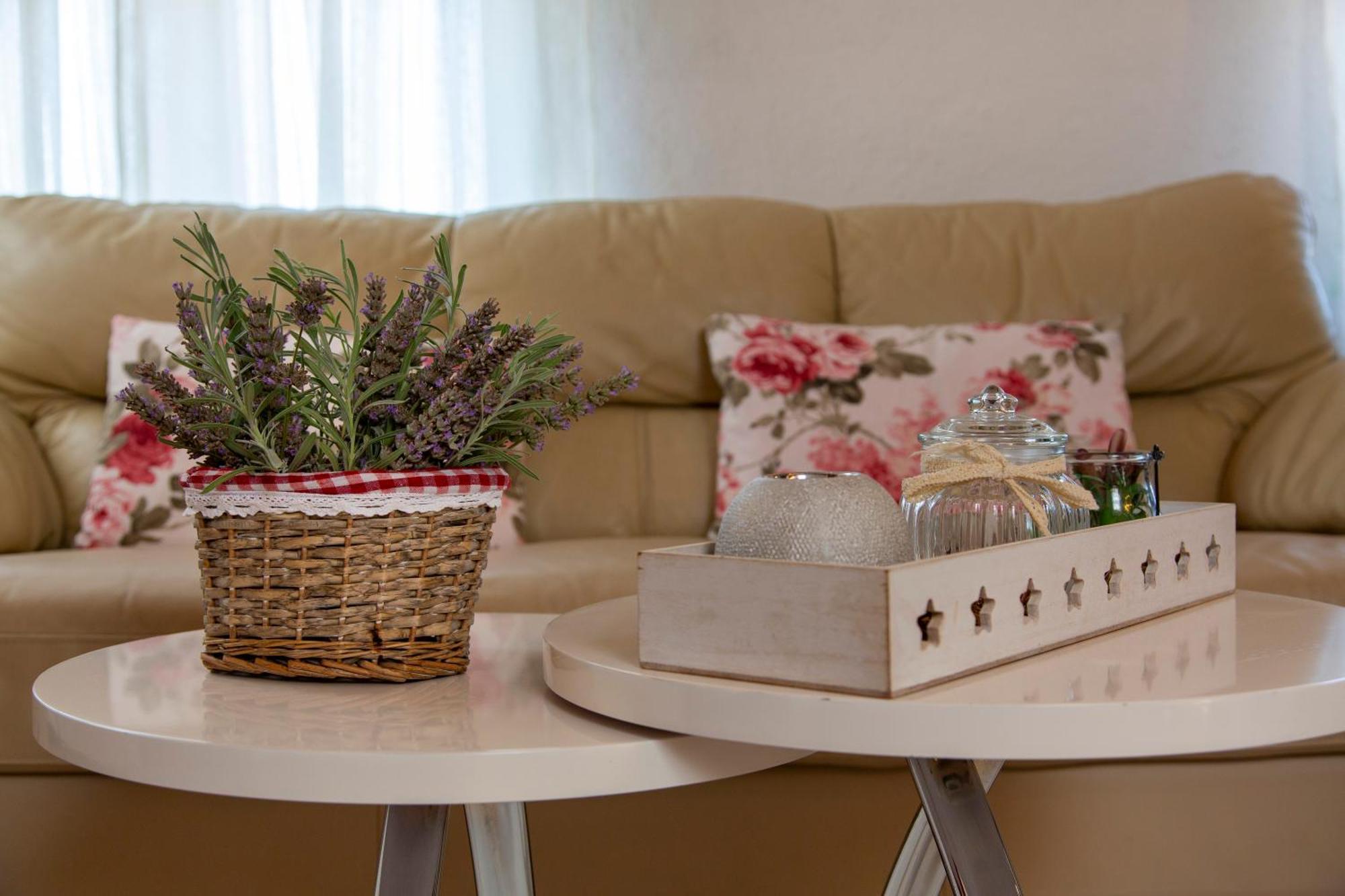 Apartman Viki Stinjan Pula Eksteriør billede